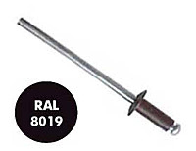 Заклепка вытяжная, окрашенная в цвета RAL 4x10 RAL 8019 серо-коричневый (1000 шт)