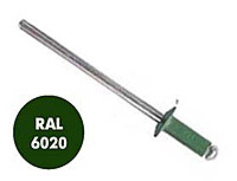 Заклепка вытяжная, окрашенная в цвета RAL 3,2x8 RAL 6020 зеленый хром (1000 шт)