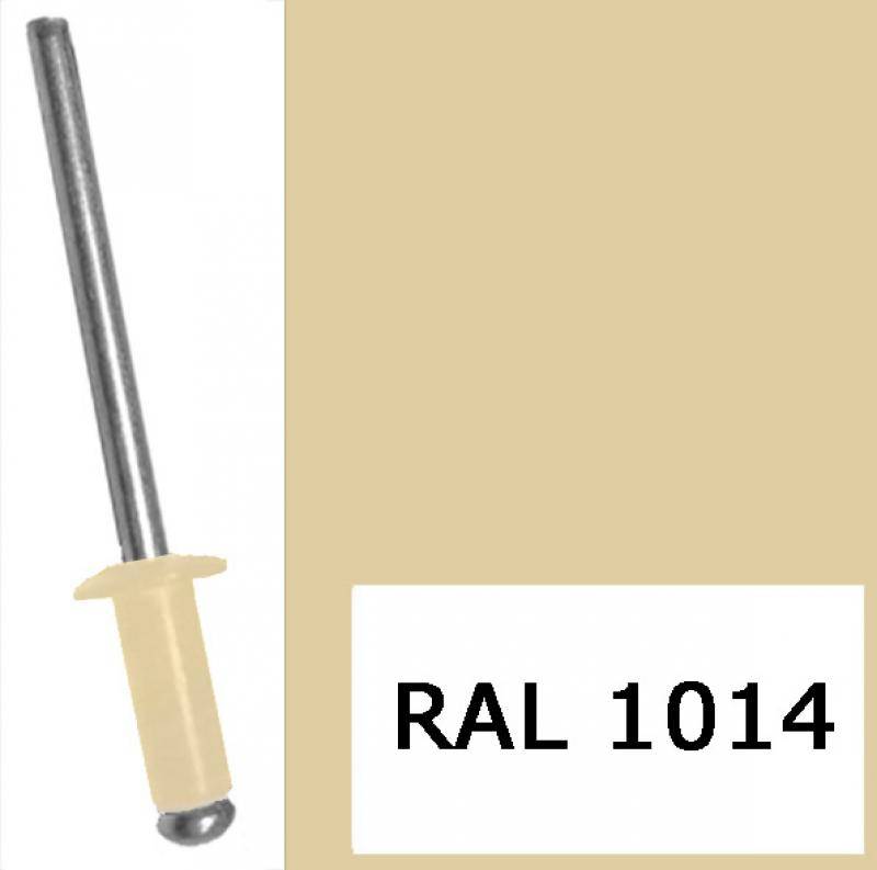 Заклепка вытяжная, окрашенная в цвета RAL 3,2x8 RAL 1014 слоновая кость (1000 шт)